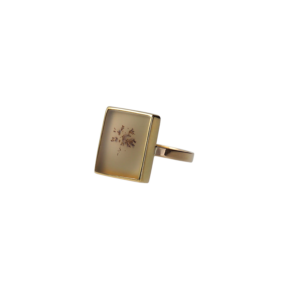 dandy square ring
